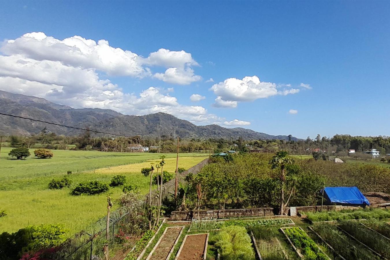 Forest Side Farm - Homestay At Kotabagh Near Nainital And Jim Corbett Exterior photo